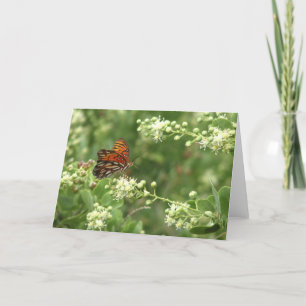 Orange Butterfly Jeden Anlaß Blank Gruß Karte