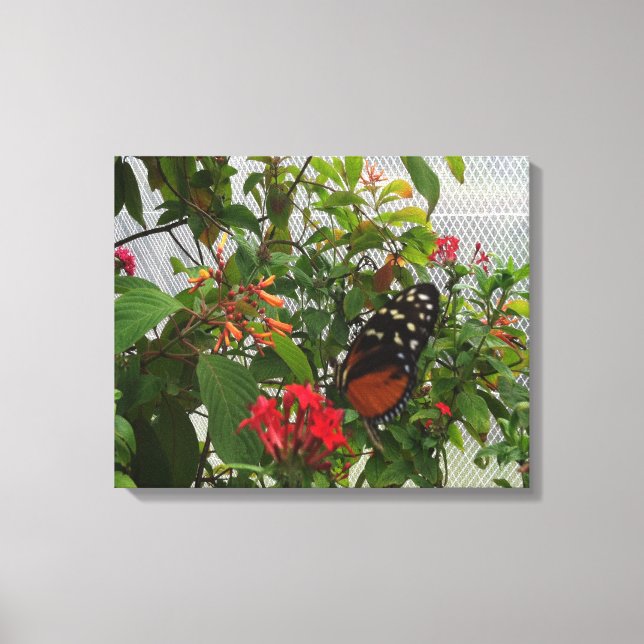 ORANGE BUTTERFLY LEINWANDDRUCK (Vorderseite)