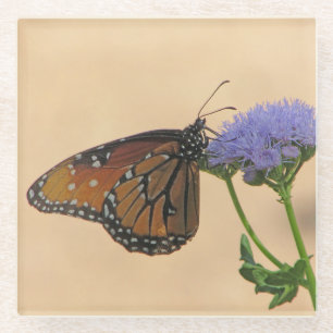 Orange Butterfly Lila Blume Insect Nature Foto Glasuntersetzer