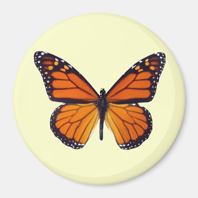 Orange Butterfly Magnet (Vorne)