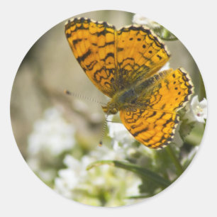 Orange Butterfly Runder Aufkleber