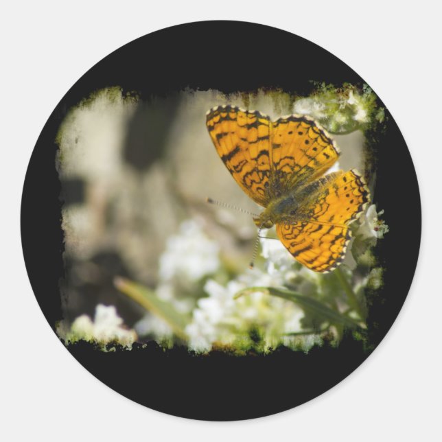 Orange Butterfly Runder Aufkleber (Vorderseite)