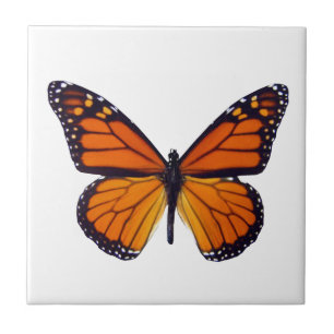 Orange Butterfly Tile Fliese