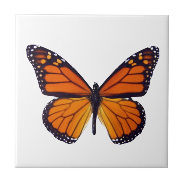 Orange Butterfly Tile Fliese (Vorderseite)