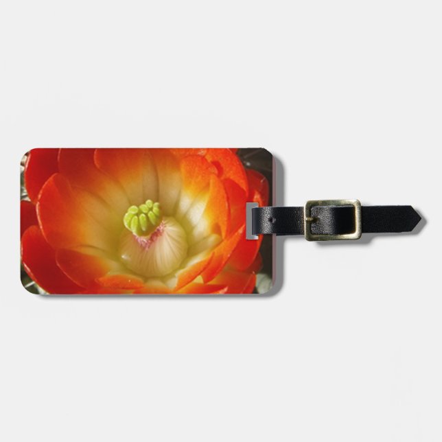 Orange-Cactus-Blume Gepäckanhänger (Vorderseite horizontal)
