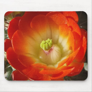 Orange Cactus Blume Mouse Pad Mousepad