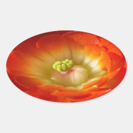 Orange-Cactus-Blume Ovaler Aufkleber