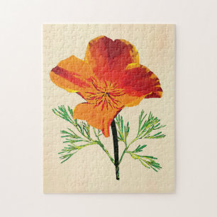 Orange California Poppy