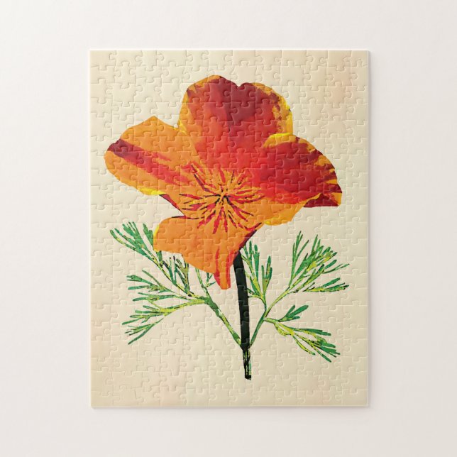Orange California Poppy (Vertikal)