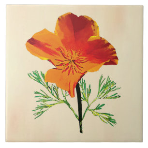 Orange California Poppy Fliese