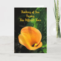 Orange Calla Lily Denken Sie an Sie Sympathy Card