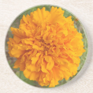 Orange Carnation Untersetzer