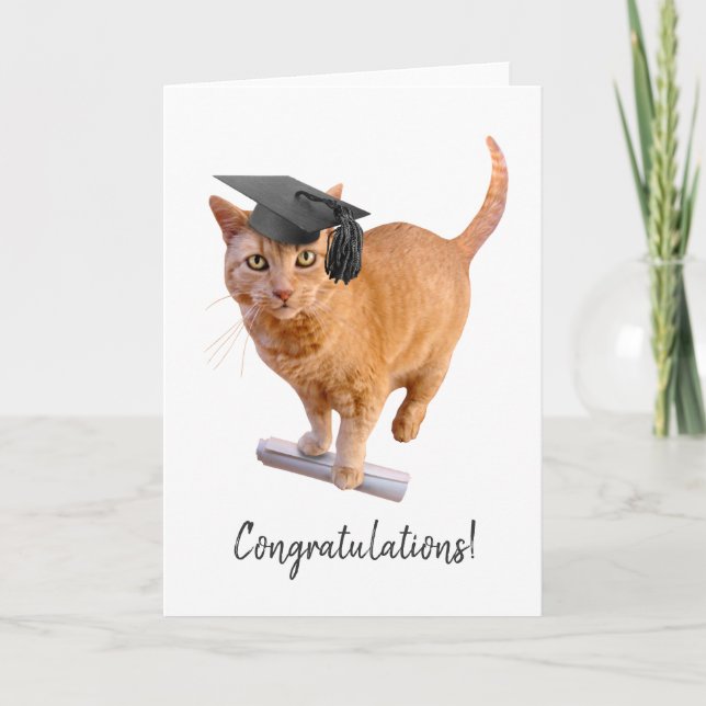 Orange Cat Abschluss Card Karte (Vorderseite)