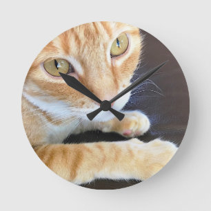 Orange cat closeup runde wanduhr