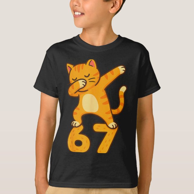 Orange Cat Dabbing Funny 67 Six Seven Meme  T-Shirt (Vorderseite)