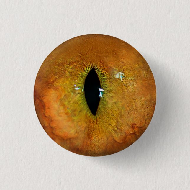 Orange Cat Eye Button (Vorderseite)