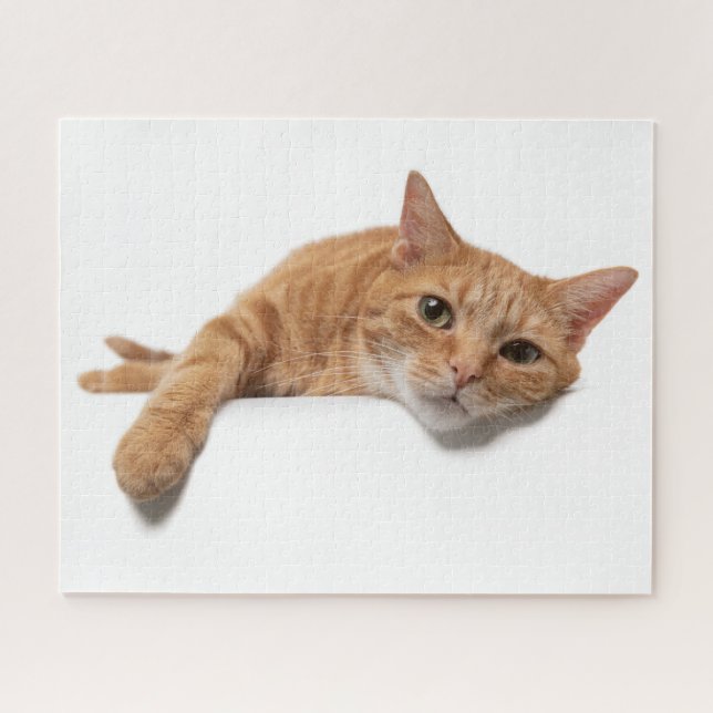 Orange Cat Lay Down (Horizontal)