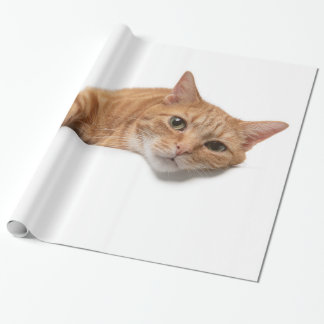 Orange Cat Lay Down Geschenkpapier