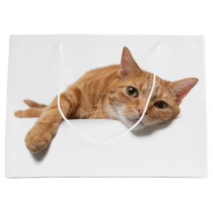 Orange Cat Lay Down Große Geschenktüte