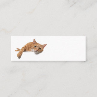 Orange Cat Lay Down Mini Visitenkarte
