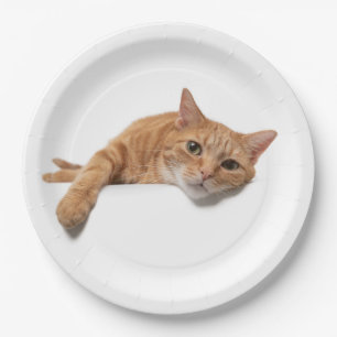 Orange Cat Lay Down Pappteller