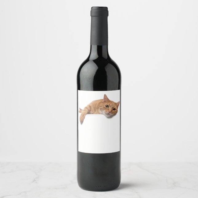 Orange Cat Lay Down Weinetikett (Vorderseite)