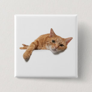 Orange Cat Laying Down Button