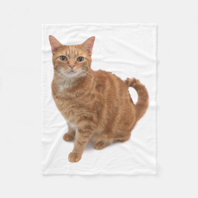 Orange Cat Standing Fleecedecke (Vorderseite)