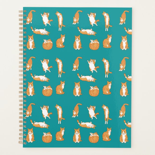 Orange Cats Funny Planer (Vorderseite)