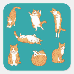 Orange Cats Funny Quadratischer Aufkleber