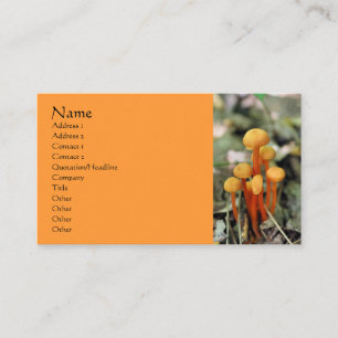 Orange Champignons Carte de visite de la photograp