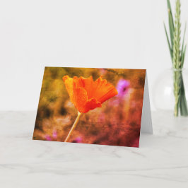 Orange-Chiffon-Mohn und -Wand Karte