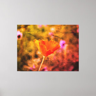 Orange-Chiffon-Mohn und -Wand Leinwanddruck