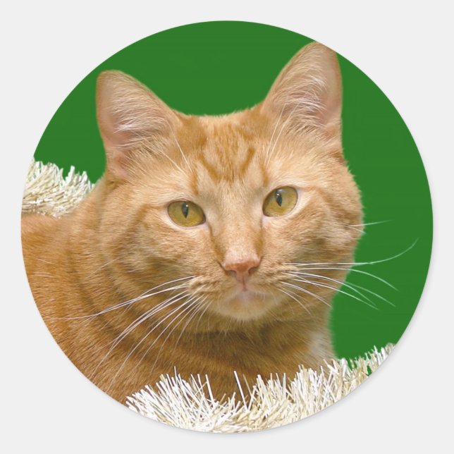 Orange Christmas tabby Runder Aufkleber (Vorderseite)