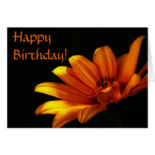Orange Chrysanthemum Birthday Card