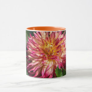 Orange Chrysanthemum Fotografie, kanadische Schönh Tasse