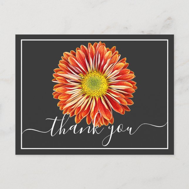 Orange Chrysanthemum Gray Hintergrund Vielen Dank Postkarte (Vorderseite)