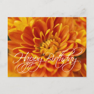 Orange Chrysanthemum Happy Birthday Postkarte