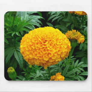 Orange Chrysanthemum Mousepad
