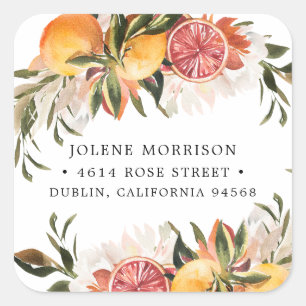 Orange Citrus Botanical Rücksendeadresse Quadratischer Aufkleber