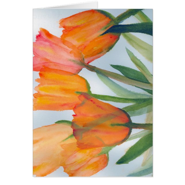 Orange Citrus Tulips (Vorne)
