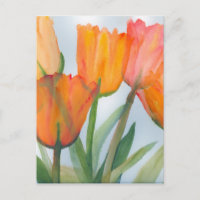 Orange Citrus Tulips