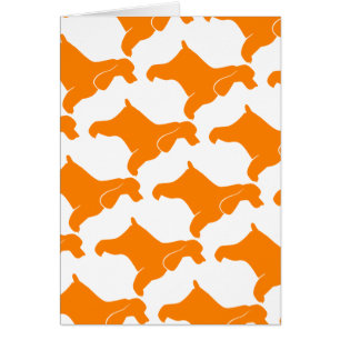 Orange Cocker Spaniel