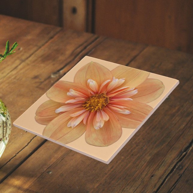 Orange Collarette Dahlia Floral Fliese (In Situ)