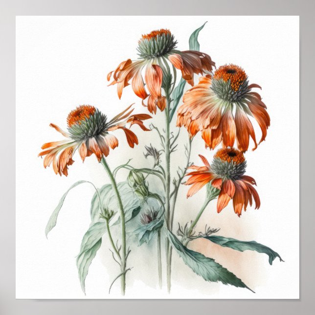 Orange Coneflowers Art Print Poster (Devant)