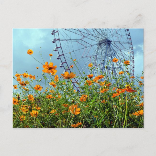 Orange Cosmos Blume & Riesenrad: Tokyo Postca Postkarte (Vorderseite)