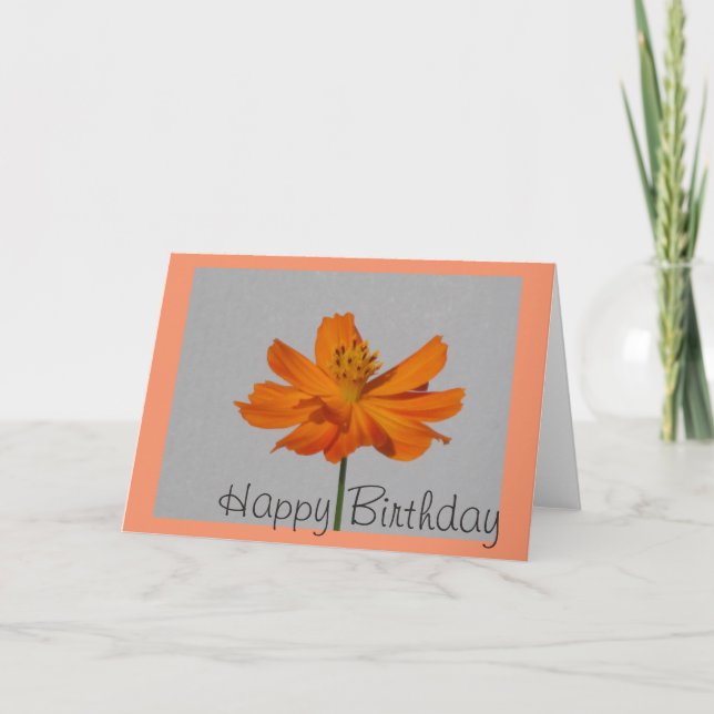 Orange Cosmos Happy Birthday Grußkarte Karte (Vorderseite)