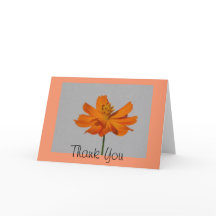 Orange Cosmos Vielen Dank Grußkarte