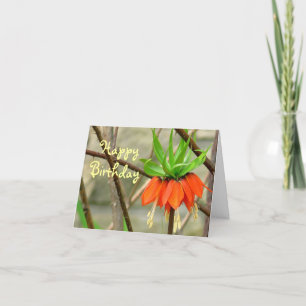 ORANGE CROWN IMPERIAL BLUME/ GEBURTSTAGSWEISHEN KARTE
