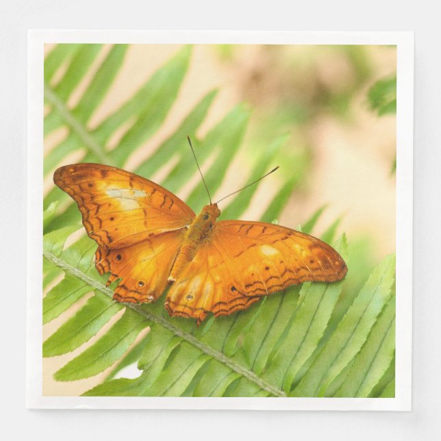 Orange Cruiser Butterfly Serviette (Vorderseite)